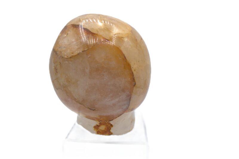 Alien Skull Golden Hematoid - From Madagascar