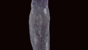 Large Amethyst Wand - South America