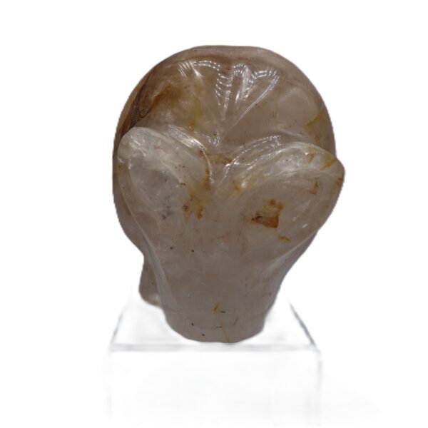 Alien Skull Golden Hematoid - From Madagascar