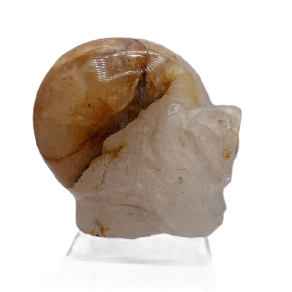 Alien Skull Golden Hematoid - From Madagascar