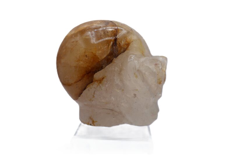 Alien Skull Golden Hematoid - From Madagascar