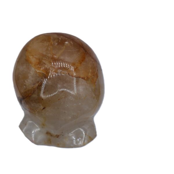 Alien Skull Golden Hematoid - From Madagascar