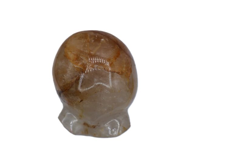 Alien Skull Golden Hematoid - From Madagascar