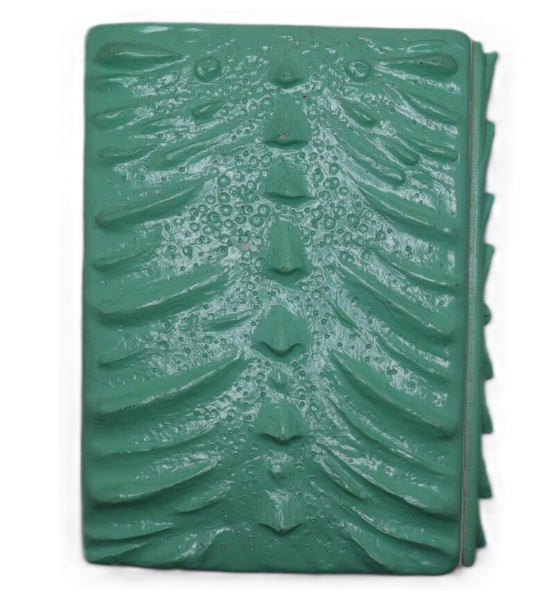 3D Green Dragon Journal with Green Eye