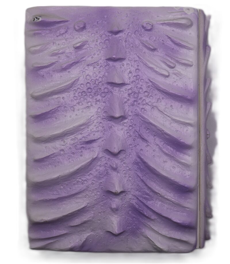 3D Mauve Dragon Journal