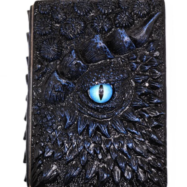 3D Black Dragon Journal with Blue Eye