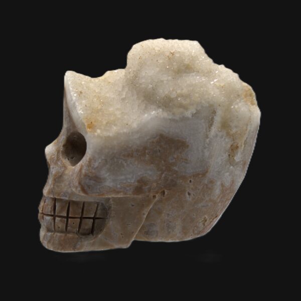 Eclectic Quartz / Citrine Skull
