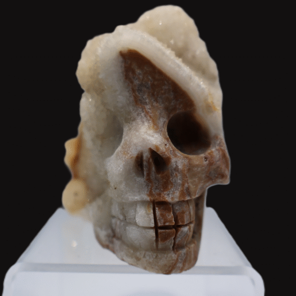 Eclectic Quartz / Citrine Skull