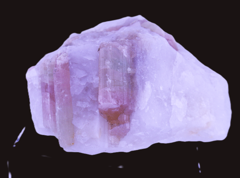 Extraordinary Watermelon Tourmaline in Milky White Quartz