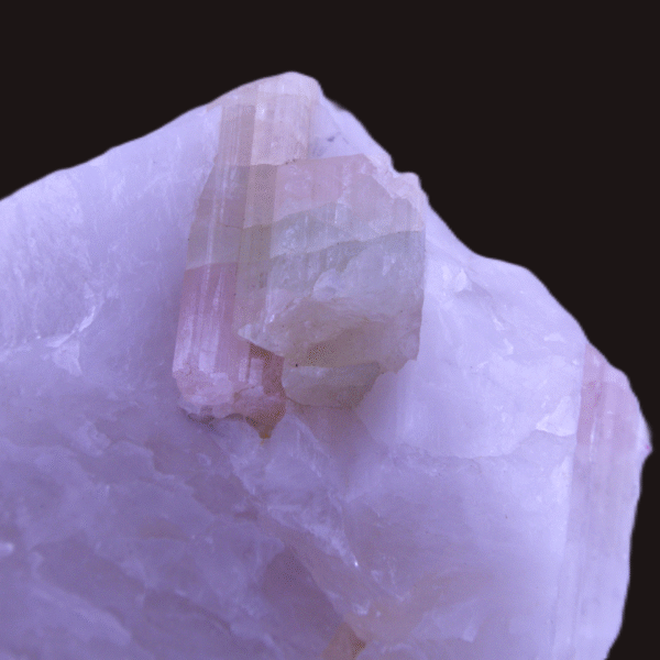 Extraordinary Watermelon Tourmaline in Milky White Quartz