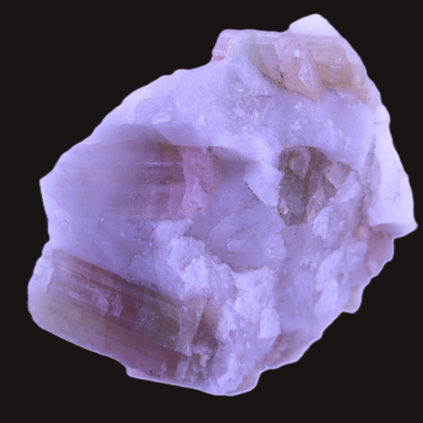 Extraordinary Watermelon Tourmaline in Milky White Quartz